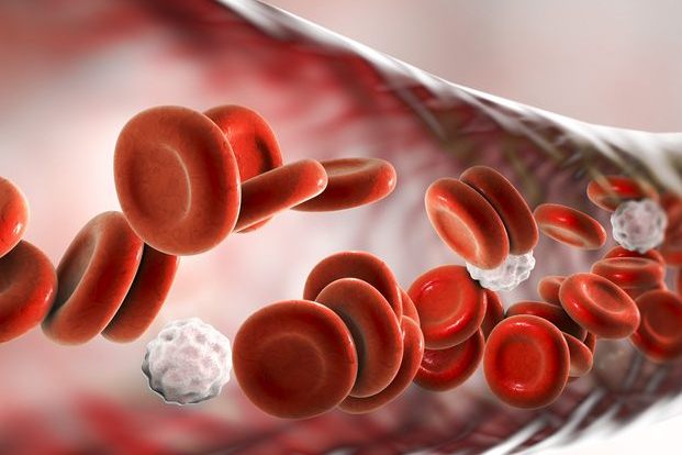 Different Types of Disorders That Can Affect Blood Cells