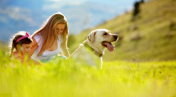 Wellness Advantages Of Getting A Pet health and wellness