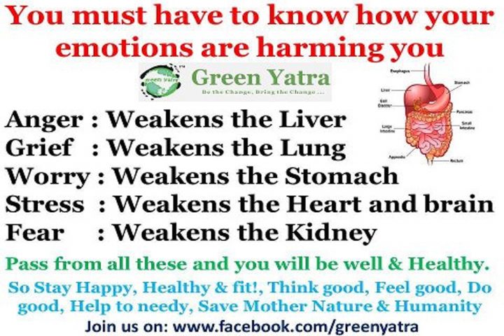 Help Your Cat Dwell Longer