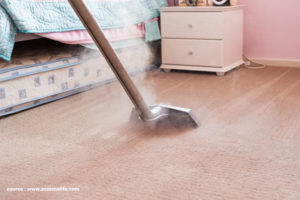 8 nice Reasons Why you must steam Your Carpet