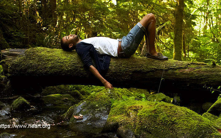 De-Stress Your Home With These Top 7 Simple Tips