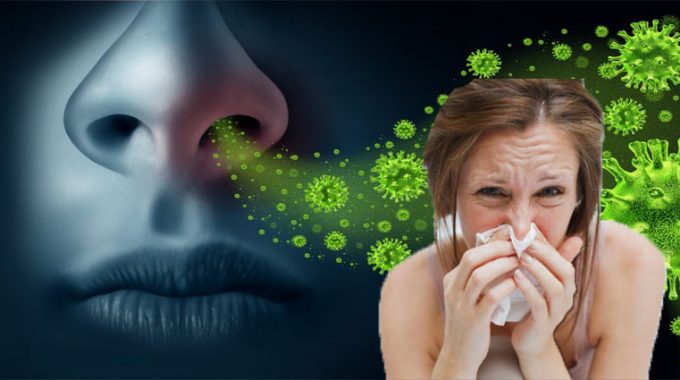 Does That Cold or Flu Have You Sick Once more?