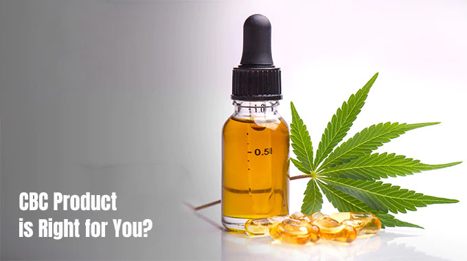 Which Type of CBC Product is Right for You?