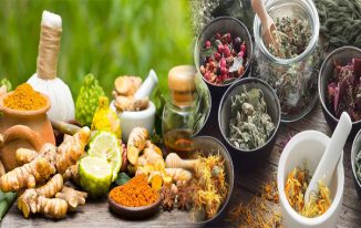 Evidence-Backed Herbal Remedies for Promoting Mental Well-Being