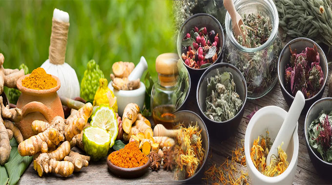 Evidence-Backed Herbal Remedies for Promoting Mental Well-Being