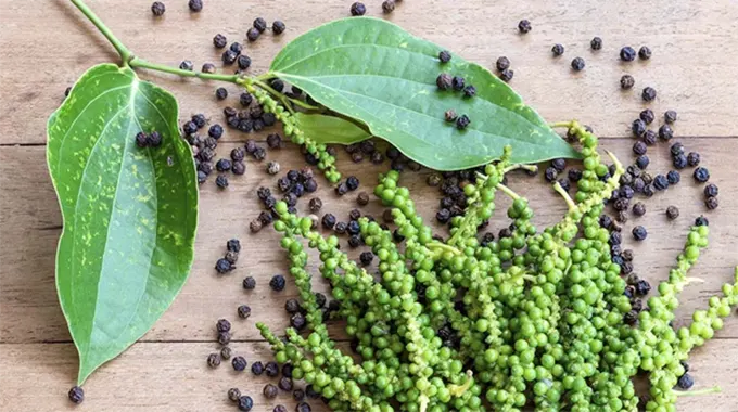 Exploring the Versatility of Black Pepper in Enhancing Flavor and Unveiling its Nutritional Value and Potential Health Benefits
